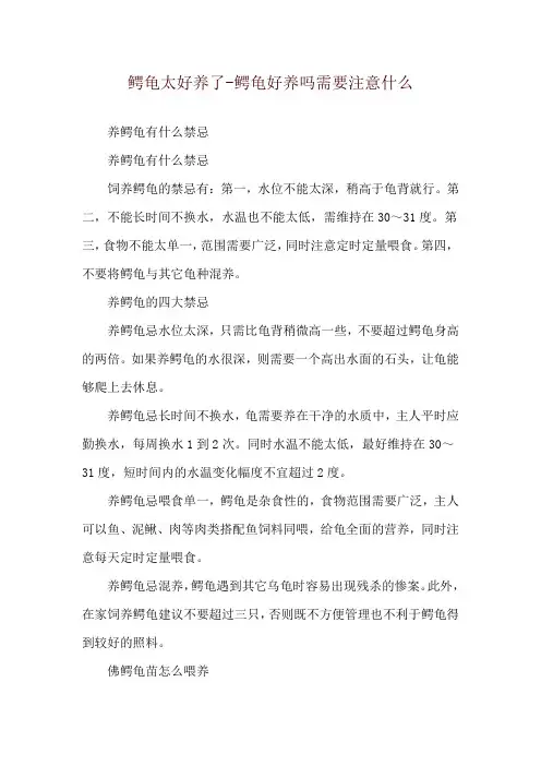 鳄龟太好养了-鳄龟好养吗需要注意什么
