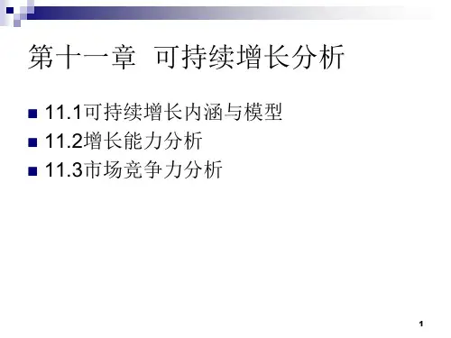可持续增长分析ppt课件