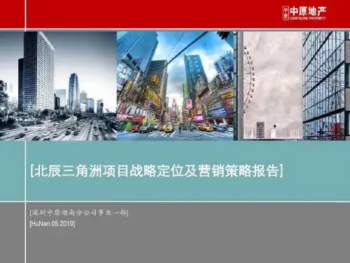 中原2010年05月长沙北辰三角洲的项目战略定位及营销的策略的报告