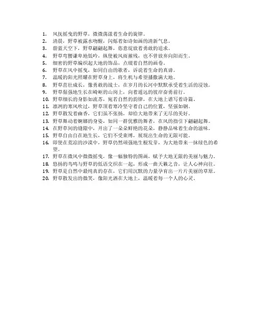 野草好词好句摘抄