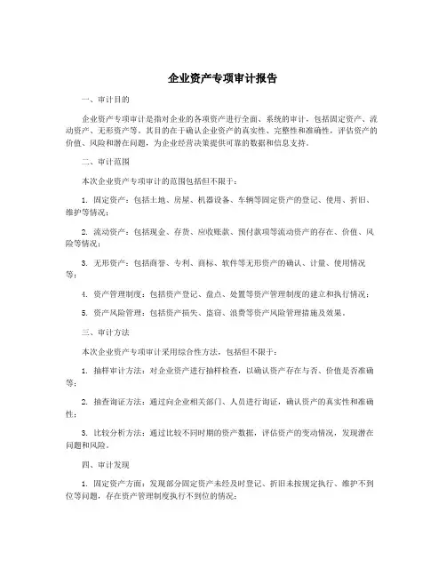 企业资产专项审计报告