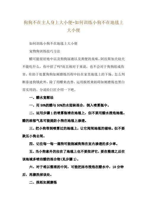 狗狗不在主人身上大小便-如何训练小狗不在地毯上大小便