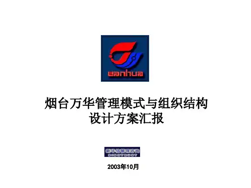 万华管理模式与组织结构方案