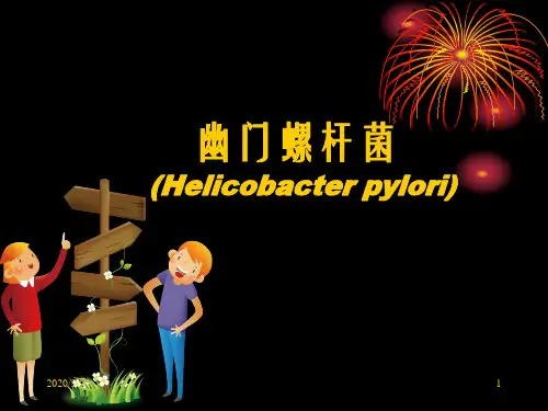 幽门螺杆菌ppt课件