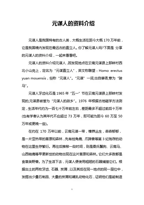元谋人的资料介绍