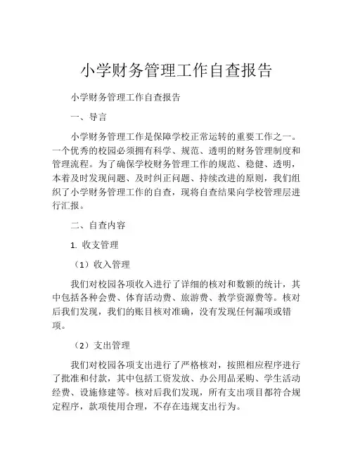 小学财务管理工作自查报告