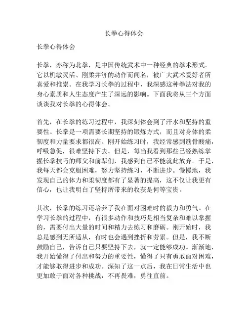 长拳心得体会