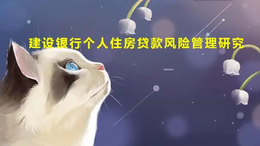 建设银行个人住房贷款风险管理研究