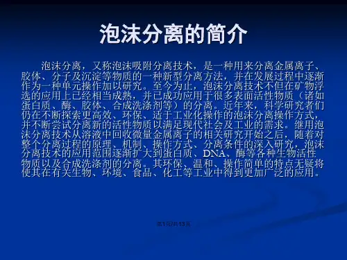 泡沫分离技术及其在蛋白分离中的应用