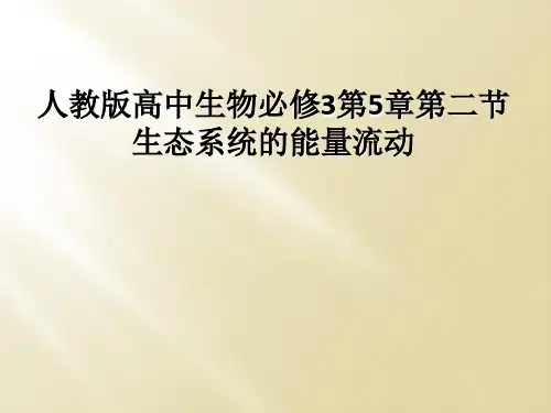 人教版高中生物必修3第5章第二节生态系统的能量流动