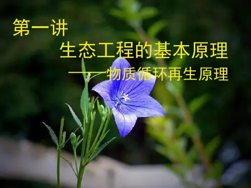生态工程的基本原理——物质循环再生