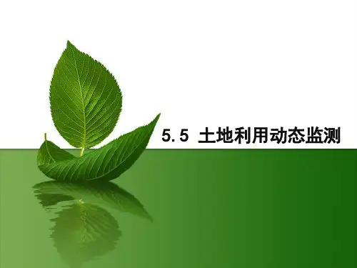 土地利用动态监测