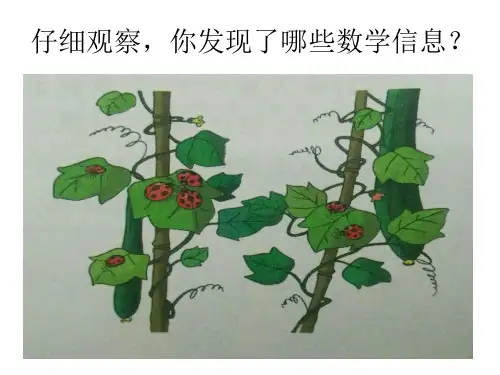 冀教版 二年级上册数学7.2.1 7的乘法口诀课件