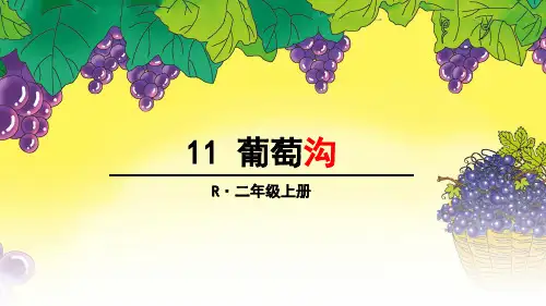 《葡萄沟》(完美版)PPT课件