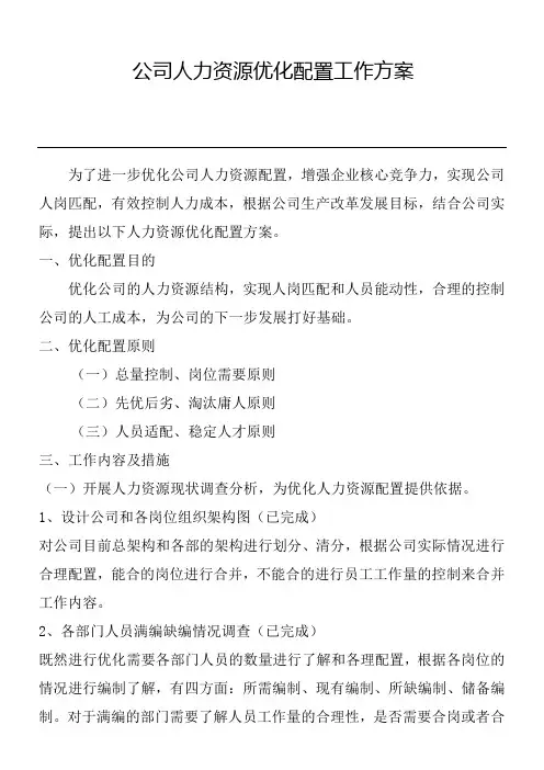 公司人力资源优化配置工作方案