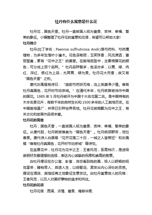牡丹有什么寓意是什么花