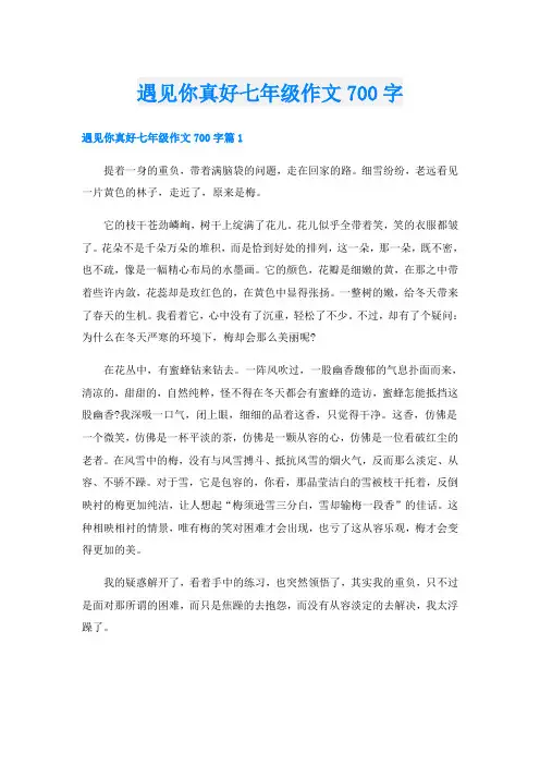 遇见你真好七年级作文700字