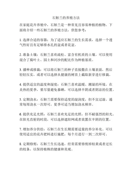 石斛兰的养殖方法