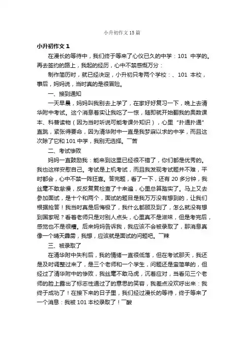 小升初作文15篇