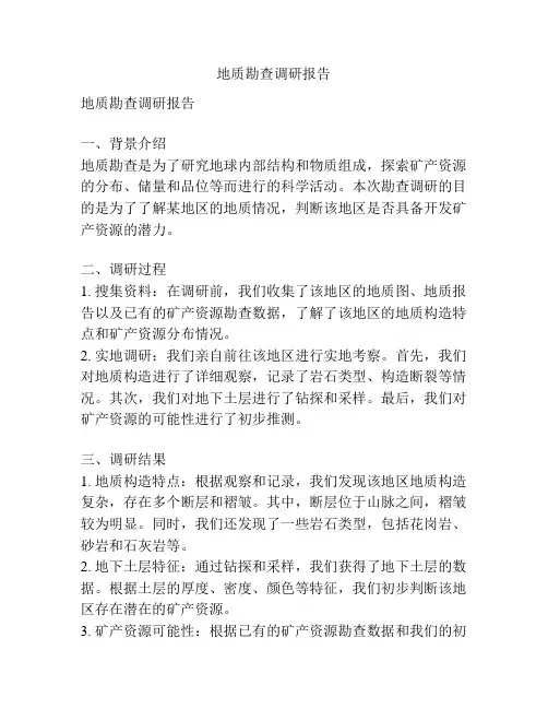 地质勘查调研报告