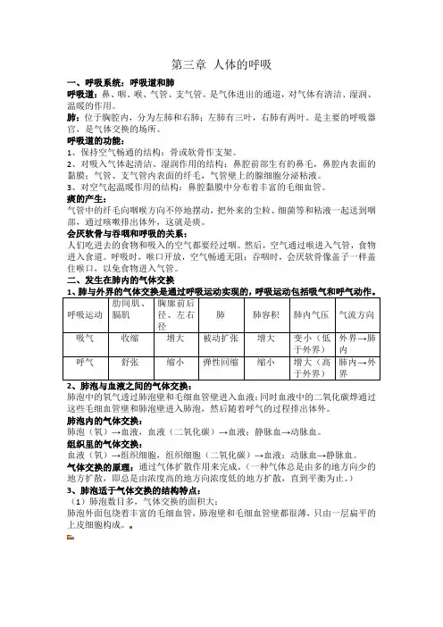 七年级生物第三章知识总结
