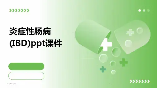 2024版炎症性肠病(IBD)ppt课件