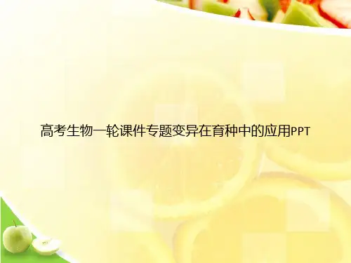 高考生物一轮课件专题变异在育种中的应用PPTppt文档