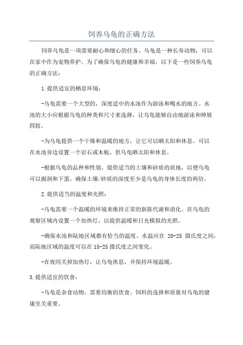 饲养乌龟的正确方法