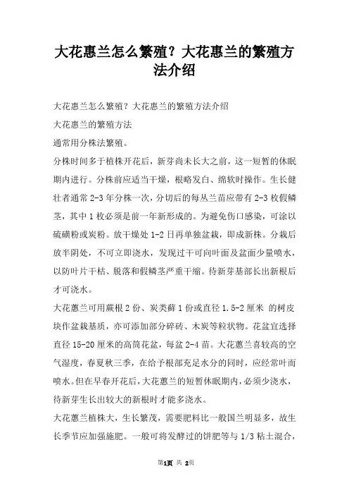 大花惠兰怎么繁殖？大花惠兰的繁殖方法介绍