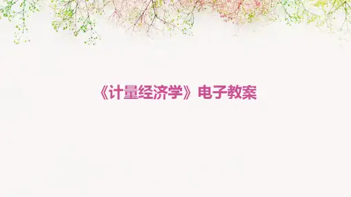 《计量经济学》Econometrics电子教案