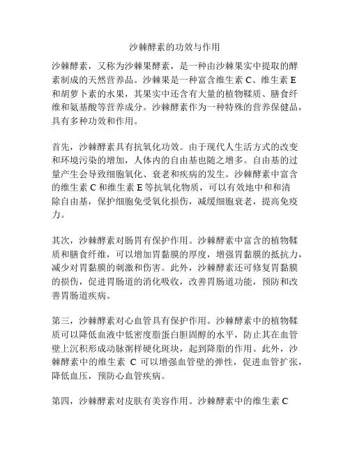 沙棘酵素的功效与作用