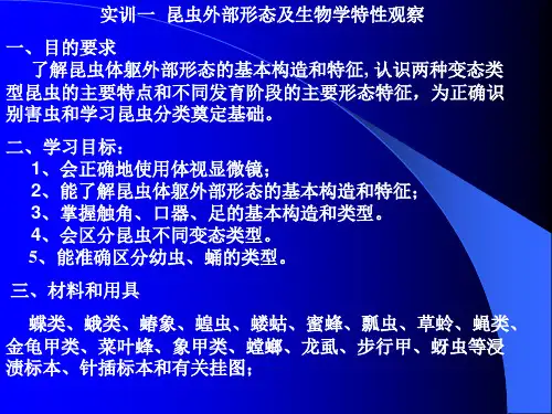 实训一 昆虫外部形态及生物学特性观察 一、目的要求 了解昆虫体躯