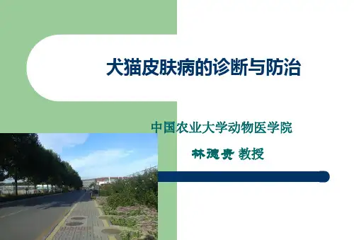 南昌会议培训犬猫皮肤病