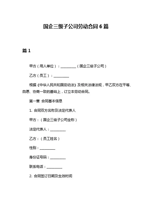 国企三级子公司劳动合同6篇