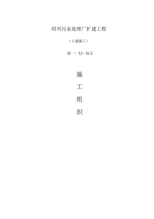 污水处理厂施工组织设计完整