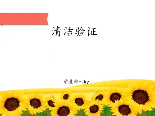 清洁验证