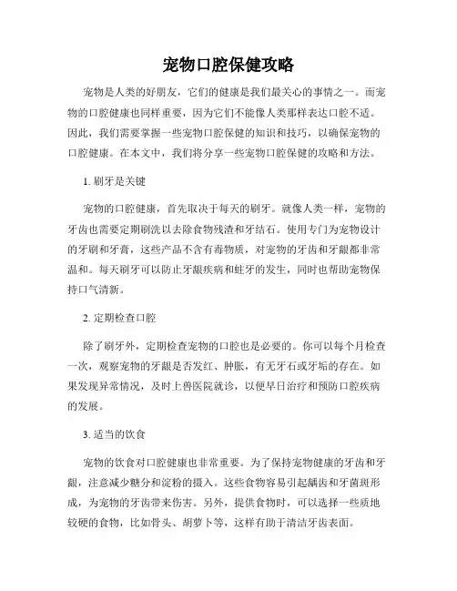 宠物口腔保健攻略