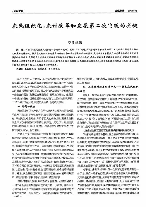 农民组织化：农村改革和发展第二次飞跃的关键