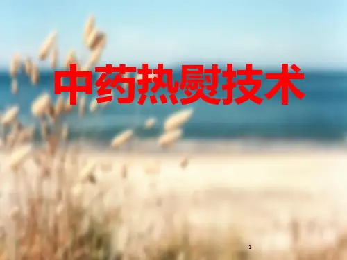 热熨疗法 PPT课件