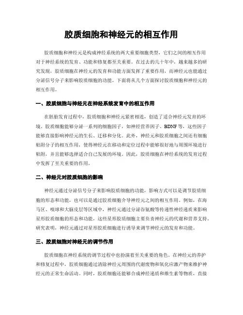 胶质细胞和神经元的相互作用