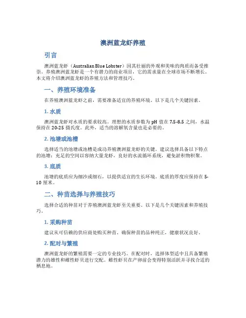 澳洲蓝龙虾养殖