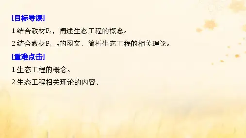 高中生物第1章生态工程第1节生态工程的理论依据课件北师大版选修