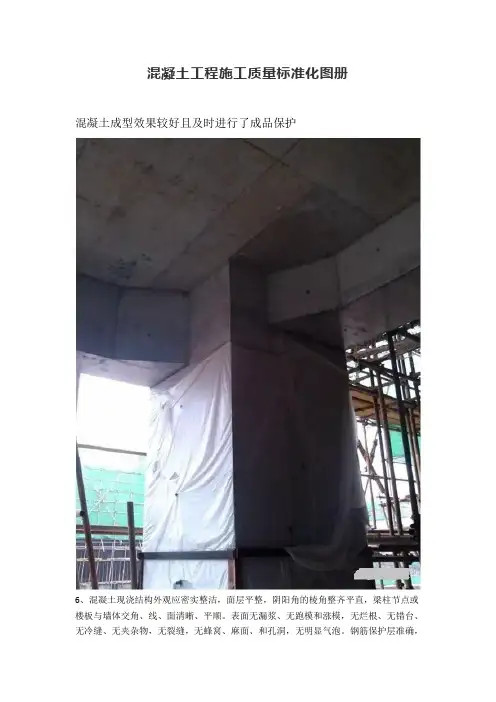 混凝土工程施工质量标准化图册