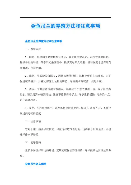 金鱼吊兰的养殖方法和注意事项