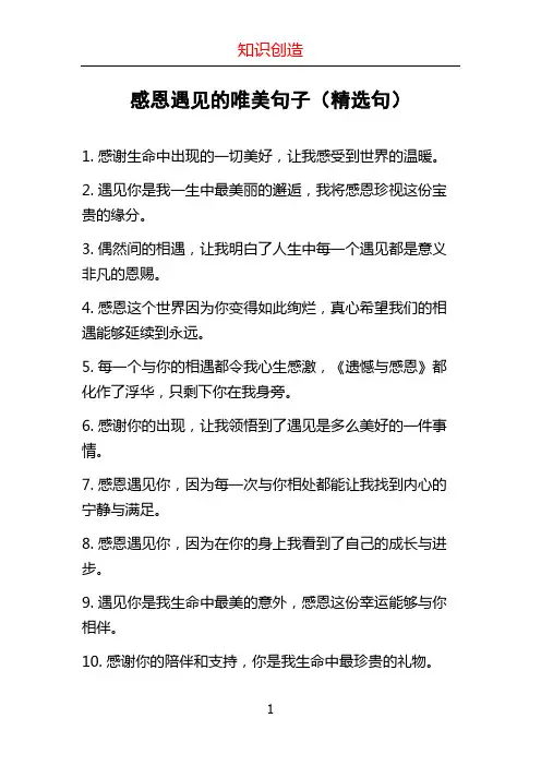 感恩遇见的唯美句子(精选句)