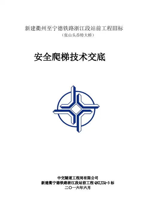 爬梯专项施工方案