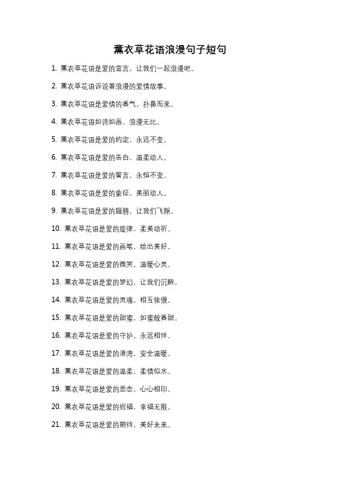 薰衣草花语浪漫句子短句