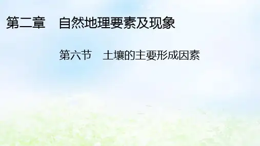 2024版高中地理第2章自然地理要素及现象第6节土壤的主要形成因素中图版必修第一册