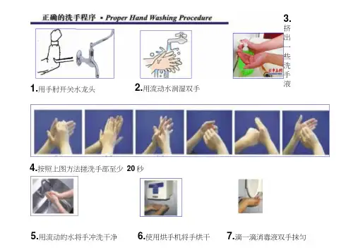 食品生产车间洗手消毒流程word精品