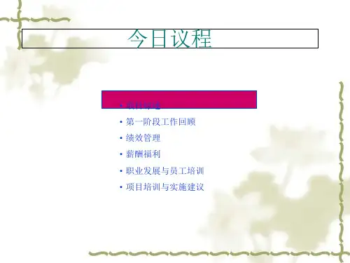 某公司人力资源管理咨询总结汇报